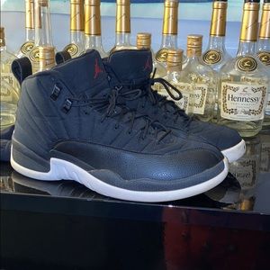 Jordan 12 nylons
